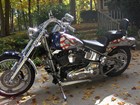 Photo of a 2002 Thunder Mountain  Gunnison Softail (FXST)