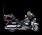 New 2013 Harley-Davidson® Electra Glide® Ultra® Limited