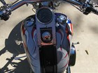Photo of a 2002 Thunder Mountain  Gunnison Softail (FXST)