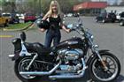 Used 2007 Harley-Davidson&reg; Sportster® 1200 Custom 