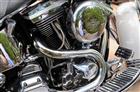 Photo of a 1994 Harley-Davidson&reg; FLSTN Heritage Softail Nostalgia
