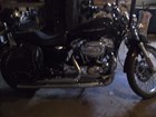 Used 2006 Harley-Davidson&reg; Sportster&reg; 1200 Custom