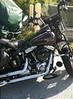 Used 2008 Harley-Davidson® Softail® Cross Bones™