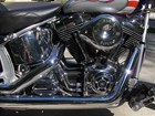 Photo of a 2002 Thunder Mountain  Gunnison Softail (FXST)