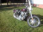 Photo of a 2007 Harley-Davidson&reg; XL 1200C Sportster® 1200 Custom 