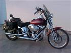 Used 2002 Harley-Davidson® Springer® Softail®