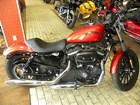 New 2013 Harley-Davidson® Sportster Iron 883