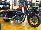 New 2013 Harley-Davidson® Sportster Iron 883