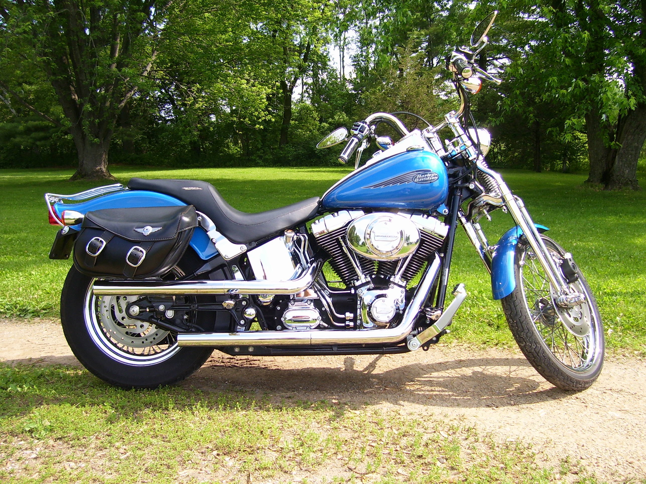 2002 harley davidson springer softail