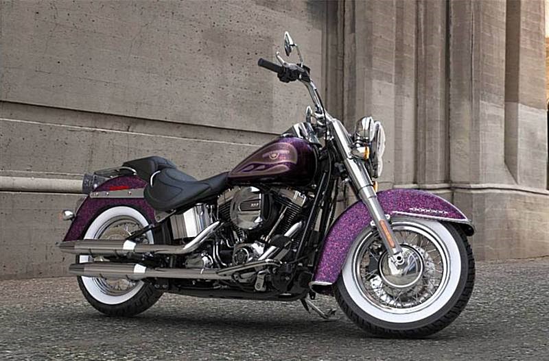 2017 HarleyDavidson® FLSTN Softail® Deluxe (Hard Candy Mystic Purple
